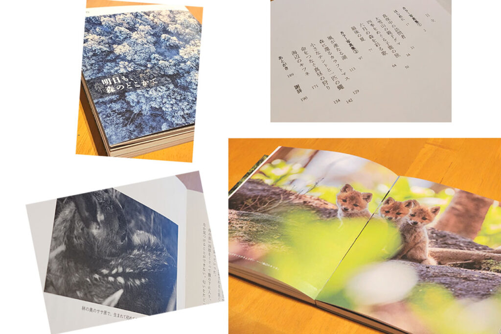 明日も、森のどこかで