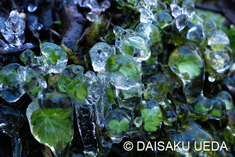 春の氷