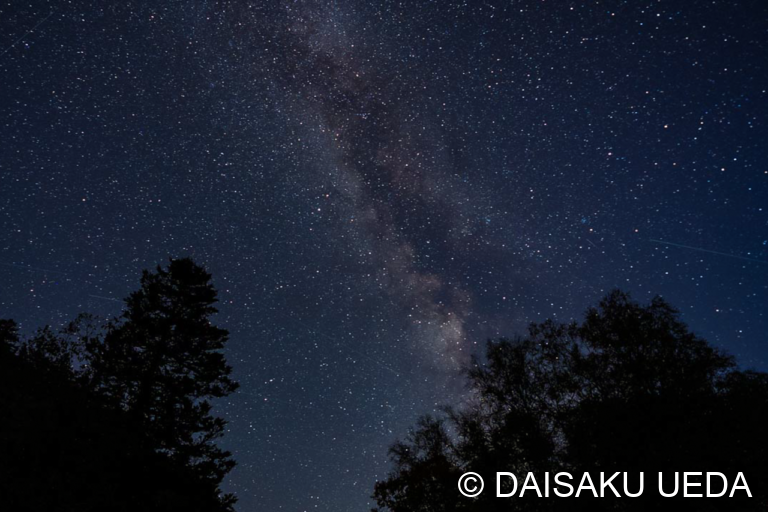 秋の夜長